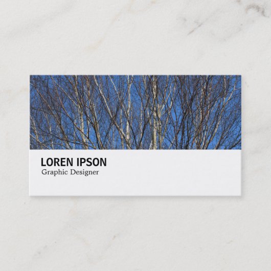 Carte De Visite Hi-Phi - 0280 - Branches de bouleau d'argent (Devant)