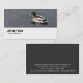 Carte De Visite Hi-Phi - 0282 - Canard colvert (Devant / Derrière)