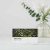 Carte De Visite Hi-Phi - 0286 - Buisson de Camélia (Debout devant)