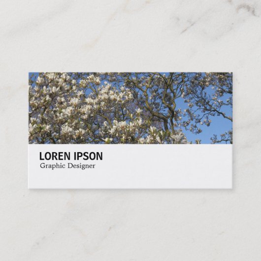 Carte De Visite Hi-Phi - 0290 - Magnolia Tree in Blossom (Devant)