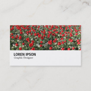 Carte De Visite Hi-Phi - 0292 - Tulipes rouges et primeurs