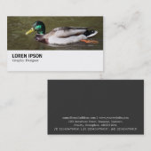 Carte De Visite Hi-Phi - 0294 - Mallard Duck (Devant / Derrière)