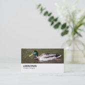 Carte De Visite Hi-Phi - 0294 - Mallard Duck (Debout devant)