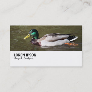 Carte De Visite Hi-Phi - 0294 - Mallard Duck