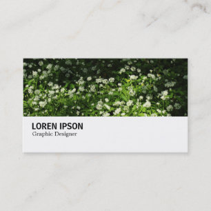 Carte De Visite Hi-Phi - 0345 - Ail sauvage