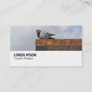Carte De Visite Hi-Phi - 0369 - Good Morning Pigeon