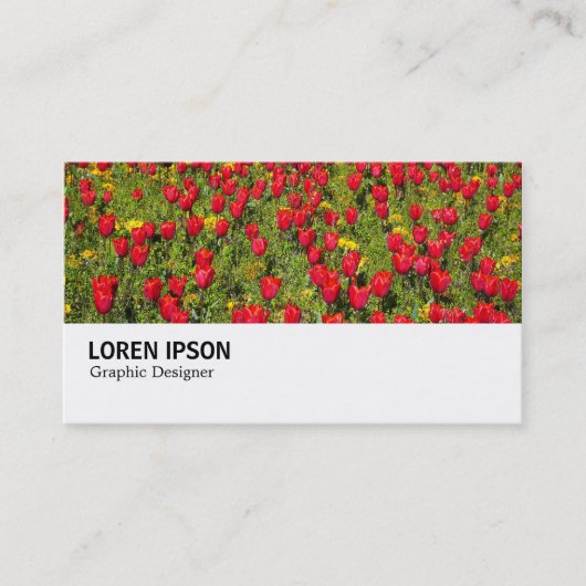 Carte De Visite Hi-Phi - 036 - Tulipes rouges (Devant)