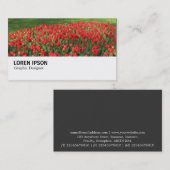 Carte De Visite Hi-Phi - 0375 - Lit de Tulipes Rouges 02 (Devant / Derrière)