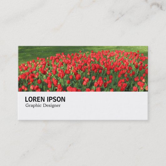 Carte De Visite Hi-Phi - 0375 - Lit de Tulipes Rouges 02 (Devant)