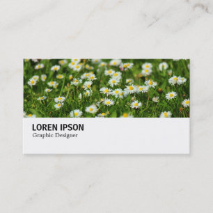 Carte De Visite Hi-Phi - 0388 - Daisy Meadow