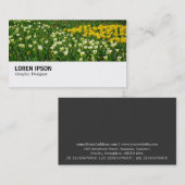 Carte De Visite Hi-Phi - 038 - Lit de Tulipes (Devant / Derrière)