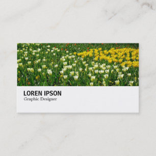 Carte De Visite Hi-Phi - 038 - Lit de Tulipes