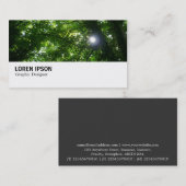 Carte De Visite Hi-Phi - 063 - Soleil dans les arbres (Devant / Derrière)