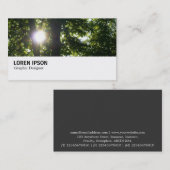 Carte De Visite Hi-Phi - 095 - Soleil à travers les arbres (Devant / Derrière)