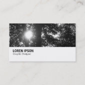 Carte De Visite Hi-Phi - 096 - Sun Through Trees B&W (Devant)