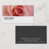 Carte De Visite Hi-Phi - 097 - Rose rose (Devant / Derrière)