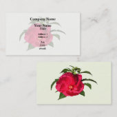 Carte De Visite Hibiscus rose foncé (Devant / Derrière)