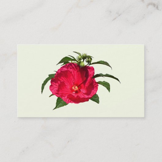 Carte De Visite Hibiscus rose foncé (Dos)