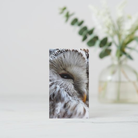 CARTE DE VISITE HIBOU (Debout devant)