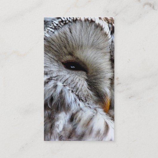 CARTE DE VISITE HIBOU (Devant)