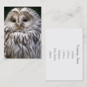 CARTE DE VISITE HIBOU (Devant / Derrière)