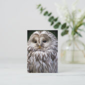 CARTE DE VISITE HIBOU (Debout devant)