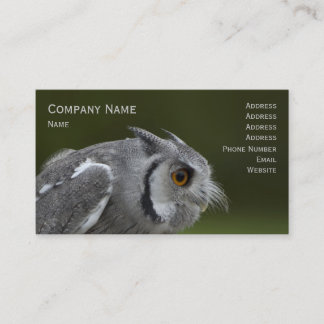 Carte de visite - hibou de gris de bébé