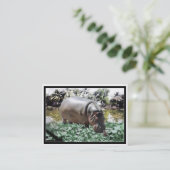 Carte De Visite Hippo & Oiseaux (Debout devant)