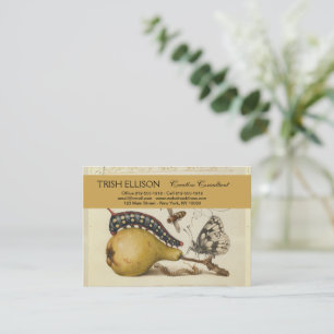 Carte De Visite Hoefnagel Vintage Poire & Insectes 1500 Renaissanc