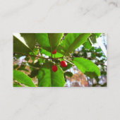 Carte De Visite Holly Feuilles II Vacances Nature Botanique (Dos)