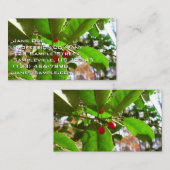 Carte De Visite Holly Feuilles II Vacances Nature Botanique (Devant / Derrière)