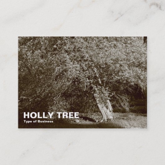 Carte De Visite Holly Tree - Sepia (Devant)