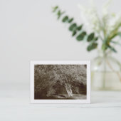 Carte De Visite Holly Tree - Sepia (Bordé) (Debout devant)