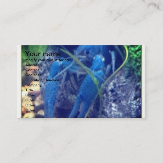 Carte De Visite homard de bleu de colorfull (Devant)