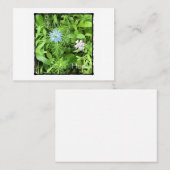 Carte De Visite Hope Mighty (Devant / Derrière)