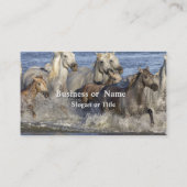 Carte De Visite Horses galloping in the water (Dos)