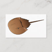 Carte De Visite Horseshoe crab (Dos)