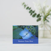 Carte De Visite hortensia bleu (Debout devant)