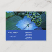 Carte De Visite hortensia bleu (Dos)
