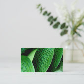 Carte De Visite Hosta Feuilles (Debout devant)