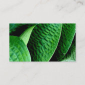 Carte De Visite Hosta Feuilles (Devant)