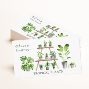 Carte De Visite Houseplant et plante botanique succulent