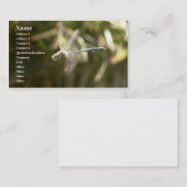 Carte De Visite Hoverer (Devant / Derrière)