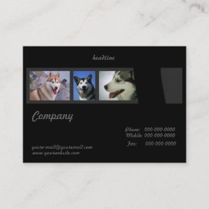 Carte de visite Huskies