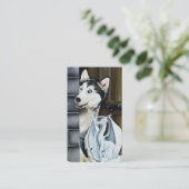 Carte De Visite Husky Chien White Dragon Aventures (Debout devant)