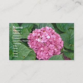 Carte De Visite Hydrangea rose