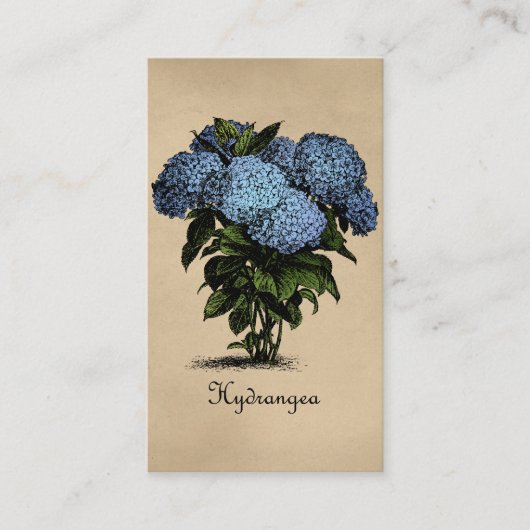 Carte De Visite Hydrangeas Vintage Botanique (Devant)