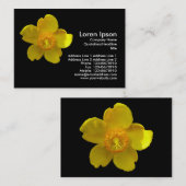Carte De Visite Hypericum Hidcote (Millepertuis) (Devant / Derrière)