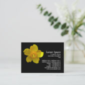 Carte De Visite Hypericum Hidcote (Millepertuis) (Debout devant)