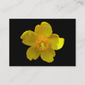 Carte De Visite Hypericum Hidcote (Millepertuis) (Dos)